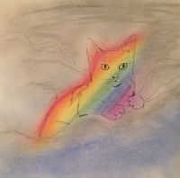 rainbow cat in clouds
